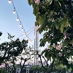 Park Ashik